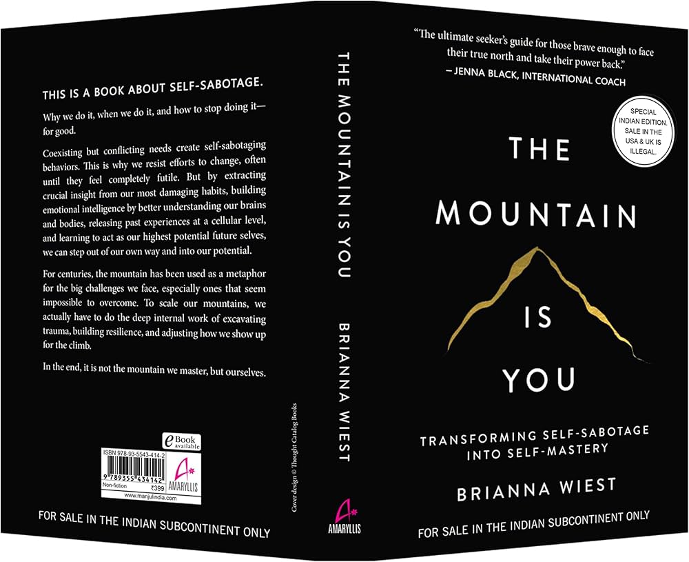 The Mountain Is You By Brianna Wiest Novel