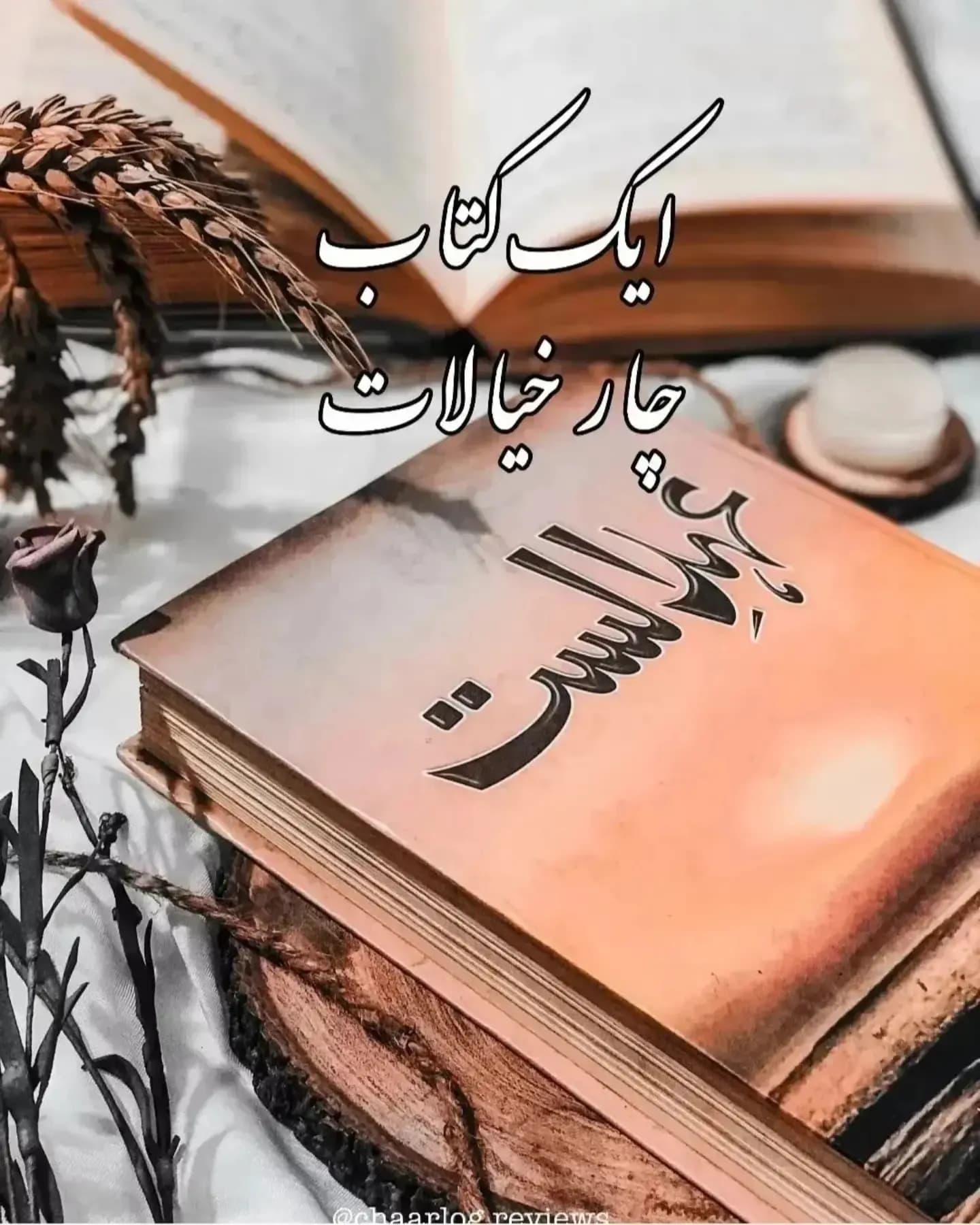 Ehd e Alast By Tanzeela Riaz