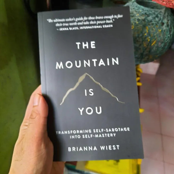 The Mountain Is You By Brianna Wiest Novel