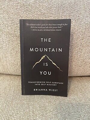 The Mountain Is You By Brianna Wiest Novel